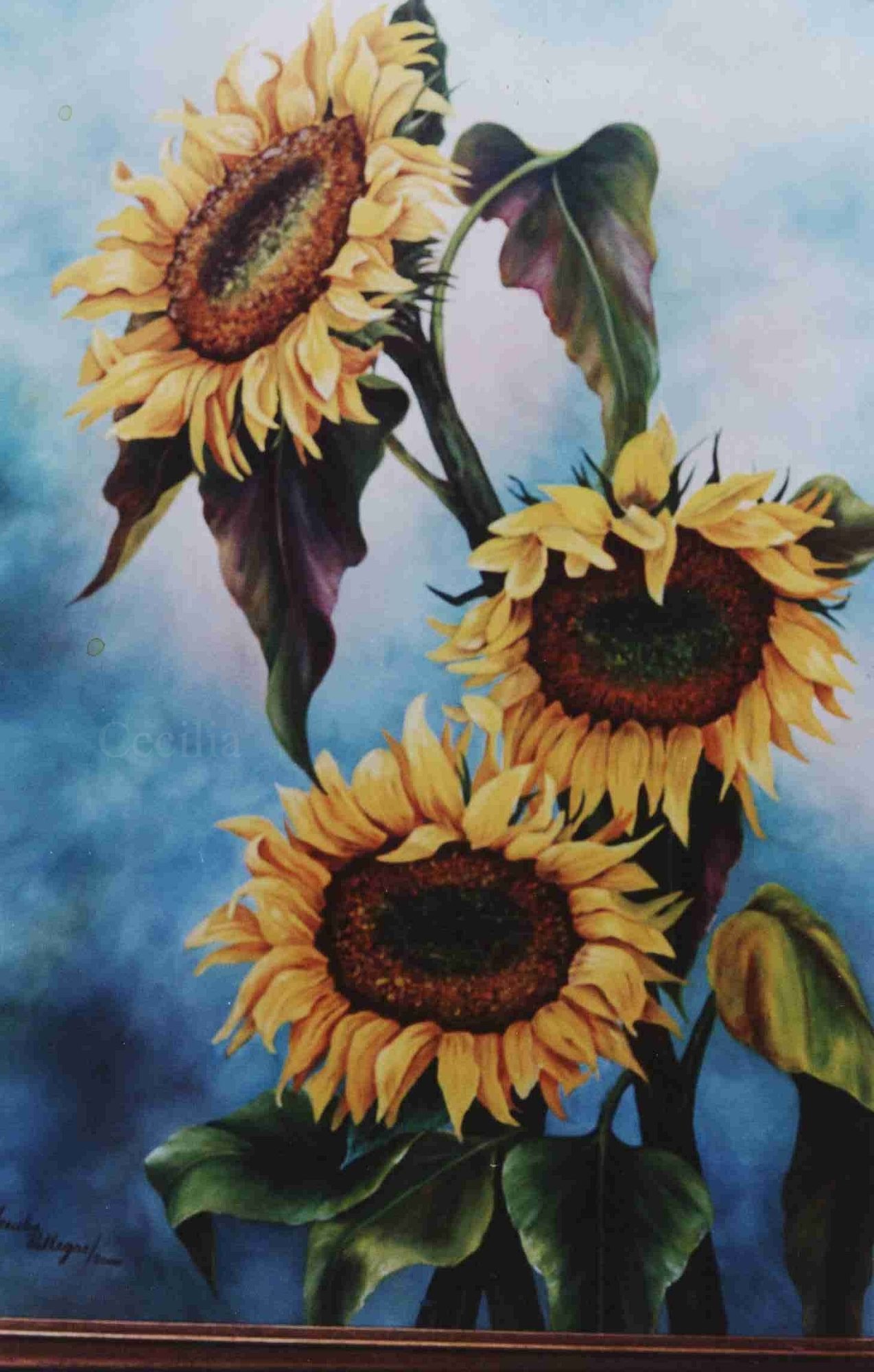 Paisaje texturizado — Cecilia Villegas